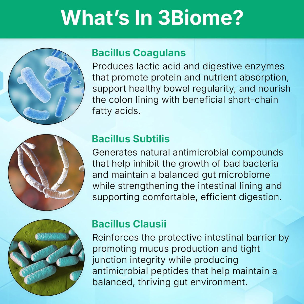 3Biome Natural Probiotic Supplement for Gut Health, Vegan, Gluten-Free 30 Vegetable Capsules Nutreance