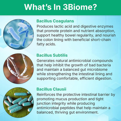 3Biome Natural Probiotic Supplement for Gut Health, Vegan, Gluten-Free 30 Vegetable Capsules Nutreance