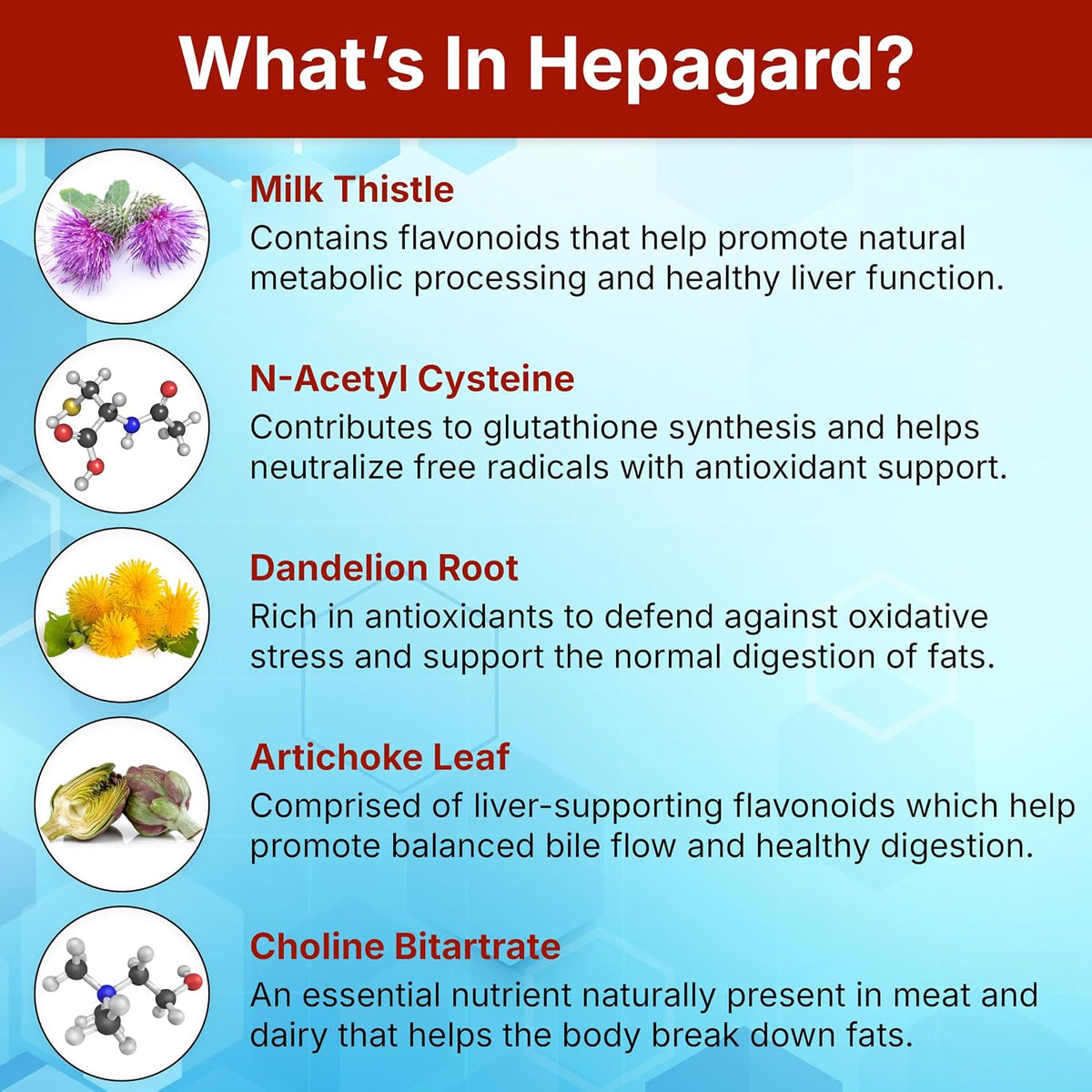 Hepagard Natural Liver Support Supplement with NAC, Vegan, Gluten-Free 30 Vegetable Capsules Nutreance